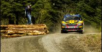Pirelli Rally